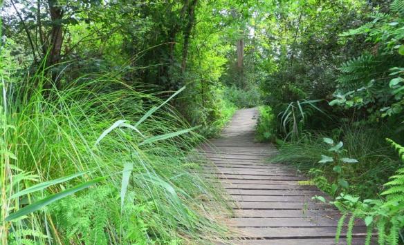 Visite guidée : banal ! Le moineau ?