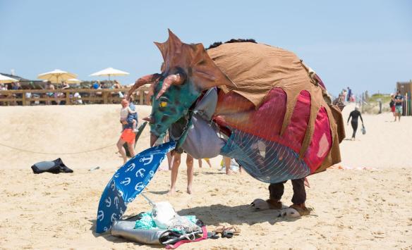 Le Triselectops aime sa plage