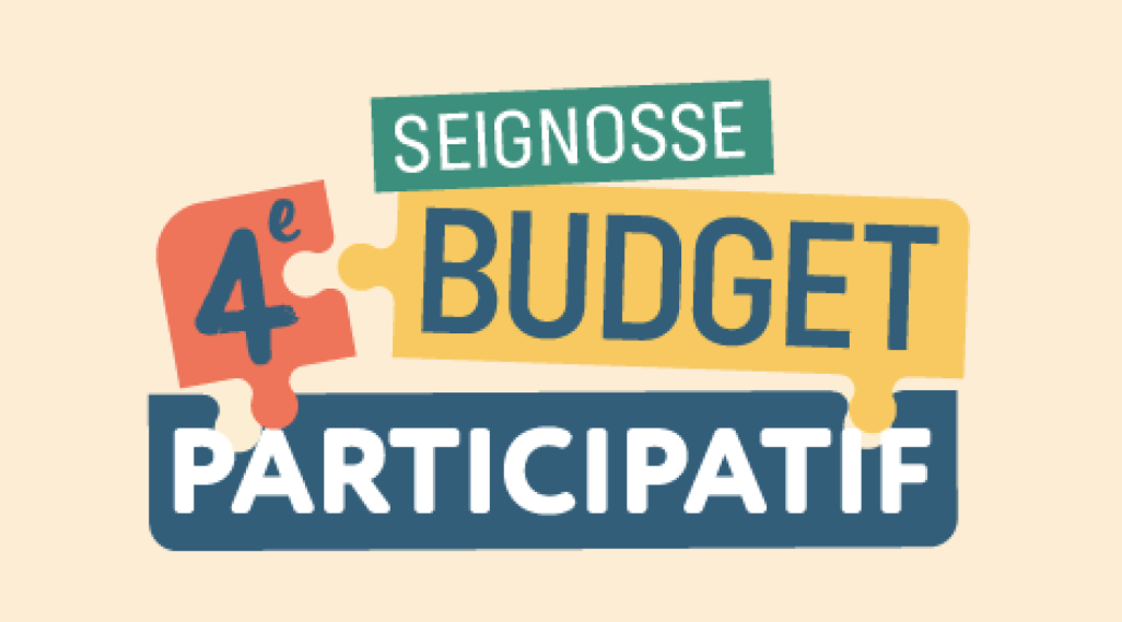 budget participatif