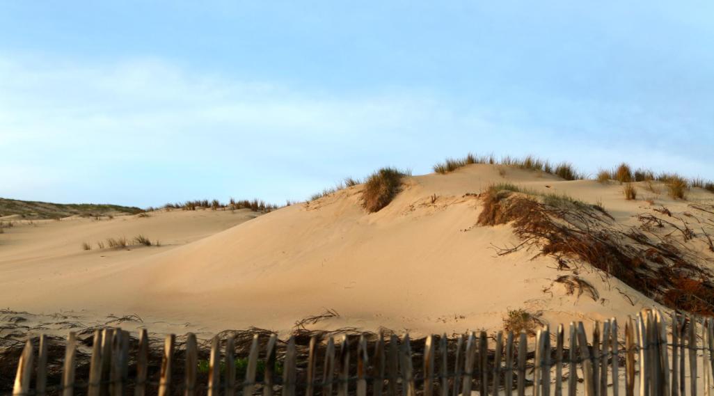 Dune à Seignosse