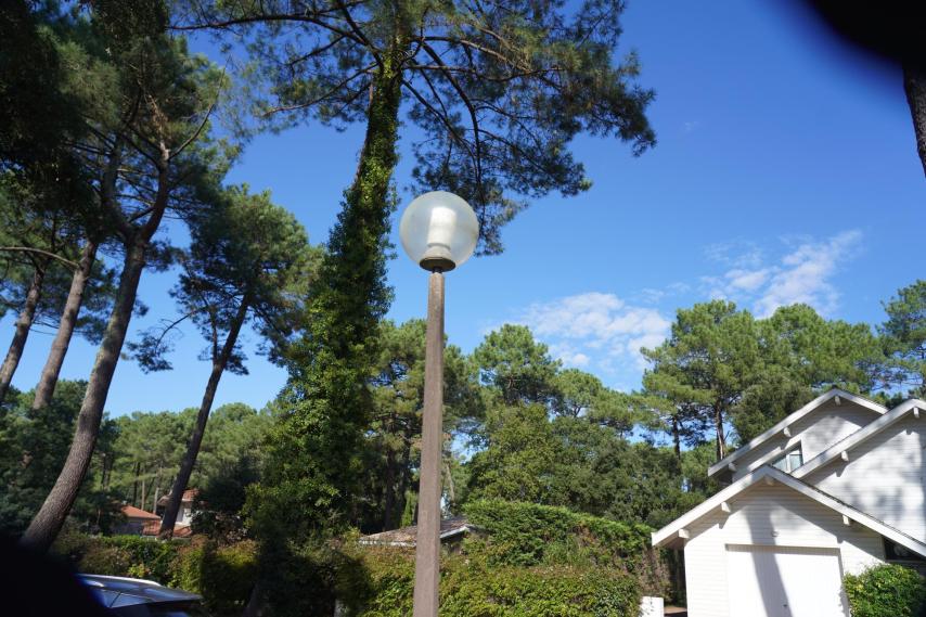Lampadaire bulle