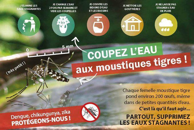 gestes-contre-moustique-tigre.jpg