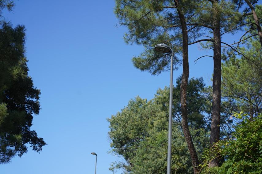 nouveaux-lampdaires.JPG