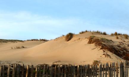 Dune à Seignosse
