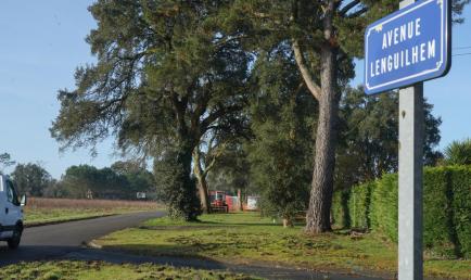 Avenue Lenguilhem