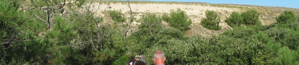 Explorez la dune avec l’ONF