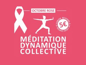 Méditation dynamique collective